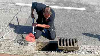 Feuerwehr lockt Entenküken mit Smartphone aus Kanalisation