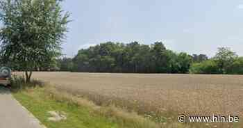 Voormalige voetbalterreinen Steenweg Sport worden verkaveld | Mol | hln.be - Het Laatste Nieuws