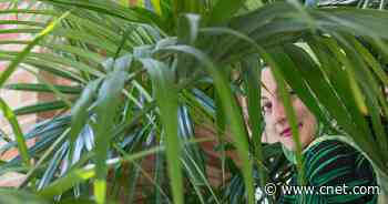 Best Eco-Friendly Products for 2022     - CNET