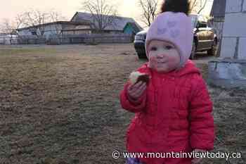 Ukrainians fleeing war could be in Olds by May - Mountain View TODAY