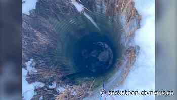 Sask. fire department rescues 'exhausted' dog trapped in well