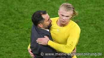 Haaland zum FC Bayern? „Für die Zukunft ein hochinteressanter Spieler“