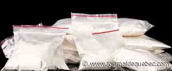 Équateur : saisie de 2,4 tonnes de cocaïne destinées à la Belgique