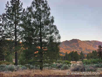 'Boy who left home': 5 years since disappearance of Irish hiker on California's Pacific Crest Trail - SF Gate