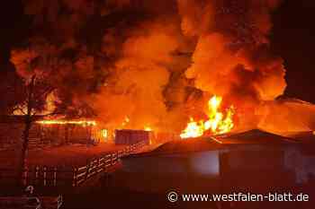Lagerhallen in Vollbrand: Großeinsatz in Detmold - Westfalen-Blatt