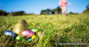 Perché stiamo nascondendo le uova in massa e altri fatti che non sapevi sulla Pasqua | Vacanze di Pasqua - TGcomnews24