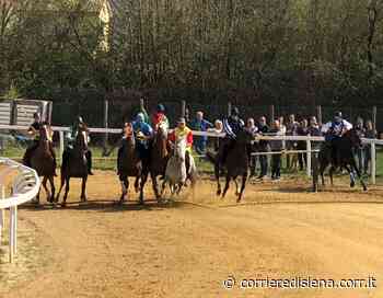 Siena, Palio: a Monticiano martedì si corre. Diramate le batterie malgrado le proteste per i sassi sul percorso - Corriere di Siena
