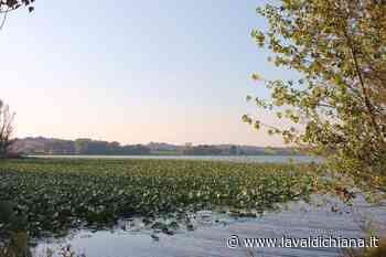 Lago di Chiusi: l'Università di Siena effettuerà uno studio sullo stato di salute - La Valdichiana