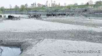 Cuneo salino risale il Po per oltre 14 chilometri: allarme per gli acquedotti in caso di alta marea - ilgazzettino.it