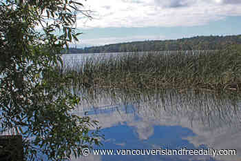 District of Saanich hosting free community Earth Day event – Vancouver Island Free Daily - vancouverislandfreedaily.com