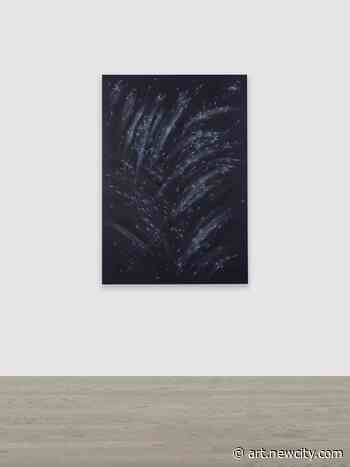 Interrogating Language: A Review of Bethany Collins at Patron - Newcity Art