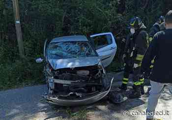 Ardea, auto si schianta contro un albero: ferita una donna - Canale Dieci