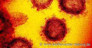 301 neue Corona-Fälle im Landkreis Merzig-Wadern - Saarbrücker Zeitung