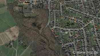 Insekten sollen den Job machen: Viel Totholz am Ruller Ortseingang: Warum der Forst nicht aufräumen wird - NOZ