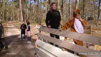 Osterhasenspaß XXL im Darguner Forst - NDR.de