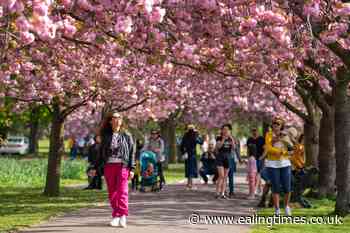 Easter Sunday brings warm sunshine before temperatures drop over next week - Ealing Times