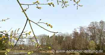 Freizeit-Tipp: Aachen fußläufig erleben - Aachener Zeitung