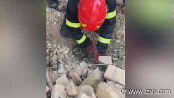 Puppy pulled out of debris after Russian shelling