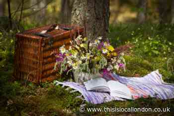 Cartwright & Butler share the best royal gardens to enjoy for the Queen's Platinum Jubilee