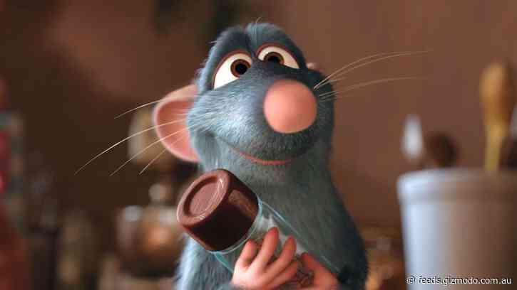 The Curious Case of Australia’s Native Blue-Grey Mouse