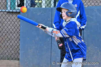 The delightful 'organized chaos' that is Challenger baseball returns to Langley – Aldergrove Star - Aldergrove Star