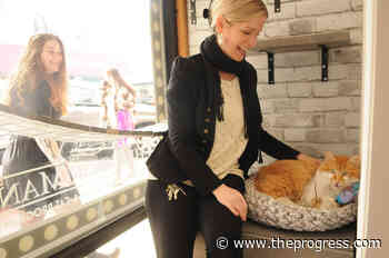 Cats now sold at Chilliwack book store through new adopt-a-cat program – Chilliwack Progress - Chilliwack Progress