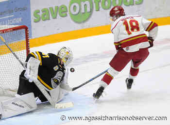 Chilliwack's Clay Stevenson signs with Washington Capitals – Agassiz Harrison Observer - Agassiz Harrison Observer