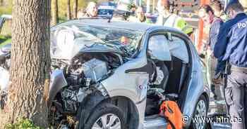Chauffeur zwaargewond na klap tegen boom langs N60 in Maarkedal - Het Laatste Nieuws