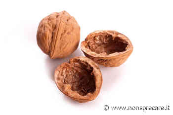 Come riciclare i gusci delle noci - Nonsprecare.it