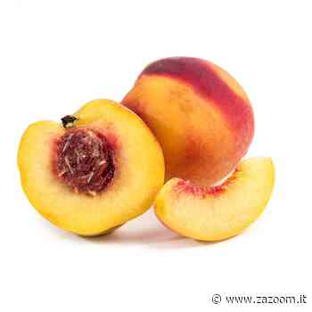 Le noci senza né guscio né gherigli - Zazoom Blog