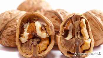 Le noci possono nuocere ad alcune parti del nostro corpo - INRAN