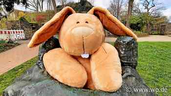 Siegen: Gewinnspiel – wissen Sie, wo Osterhase Möhrlin ist? - WP News