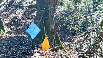 Siegen: Friedensballon von Schülern landet im Schützengraben - WP News