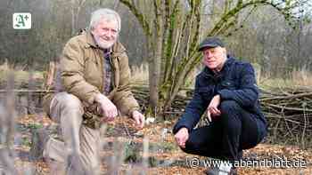 Neue Serie: Schöner wandern durch die Lüneburger Heide - Hamburger Abendblatt