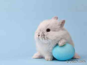 Easter 2022: Whats Open, Closed In Rhode Island - Patch