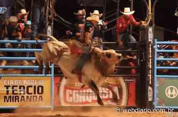 Festa do Peão de Cotia muda de local para ter “polêmicas” montarias em touros - WEBDIÁRIO