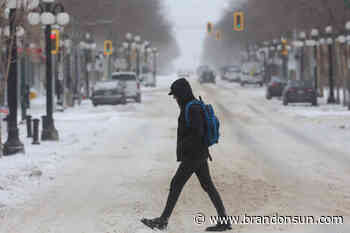 LOCAL VIEWPOINT: The blizzard, the braid, and BU - The Brandon Sun