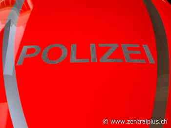 Brüder sterben in Gülleloch in Oberkirch I zentralplus - zentralplus