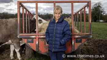 Farmers face food production crisis | Business - The Times
