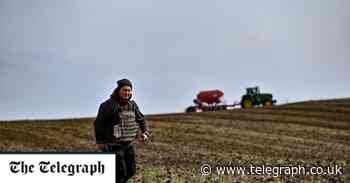 The global food price crisis is only just beginning - The Telegraph