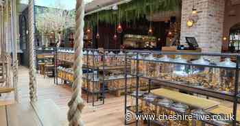 Why Cheshire Oaks Designer Outlet's emerging 'food quarter' is such a big hit - Cheshire Live