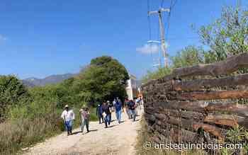Denuncian agresión contra ambientalista en San Cristobal de las Casas - Aristegui Noticias