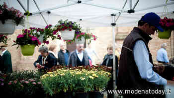 A Pasquetta torna l'appuntamento con Montale in Fiore - ModenaToday
