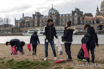 Nach Elbwiesen-Putz: So viele Tonnen Müll sammelten die Helfer - TAG24