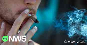 Ronse start preventiecampagne tegen cannabisgebruik bij jongeren - VRT NWS