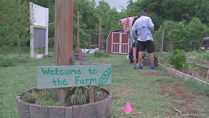 Nonprofit teaches sustainability to Austin students