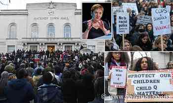 There's nothing moral about the damage social justice warriors do to our schools, says campaigner - Daily Mail