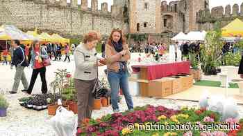 “Este in Fiore” parte venerdì, evento dedicato alla rinascita - Il Mattino di Padova