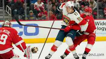 Panthers beat Red Wings 6-1 for 10th straight victory - Belleville News-Democrat