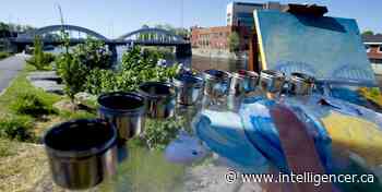 Cultivating Creativity: Quinte en Plein Air Festival 2022 - Belleville Intelligencer